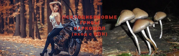 наркотики Остров