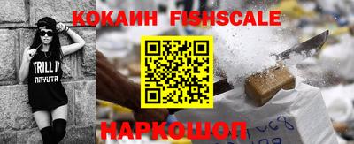 шишки Абакан