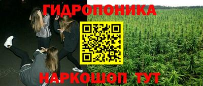 ГАЛЛЮЦИНОГЕННЫЕ ГРИБЫ Гатчина