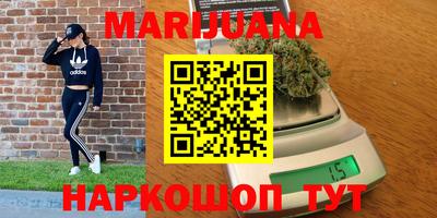 сатива Апшеронск