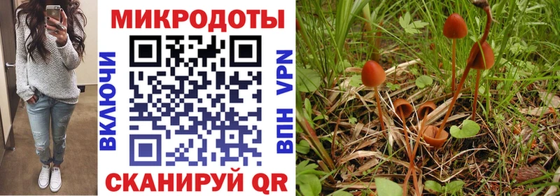 Галлюциногенные грибы Psilocybine cubensis Соликамск