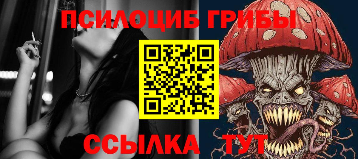 Псилоцибиновые грибы Psilocybine cubensis  Соликамск 