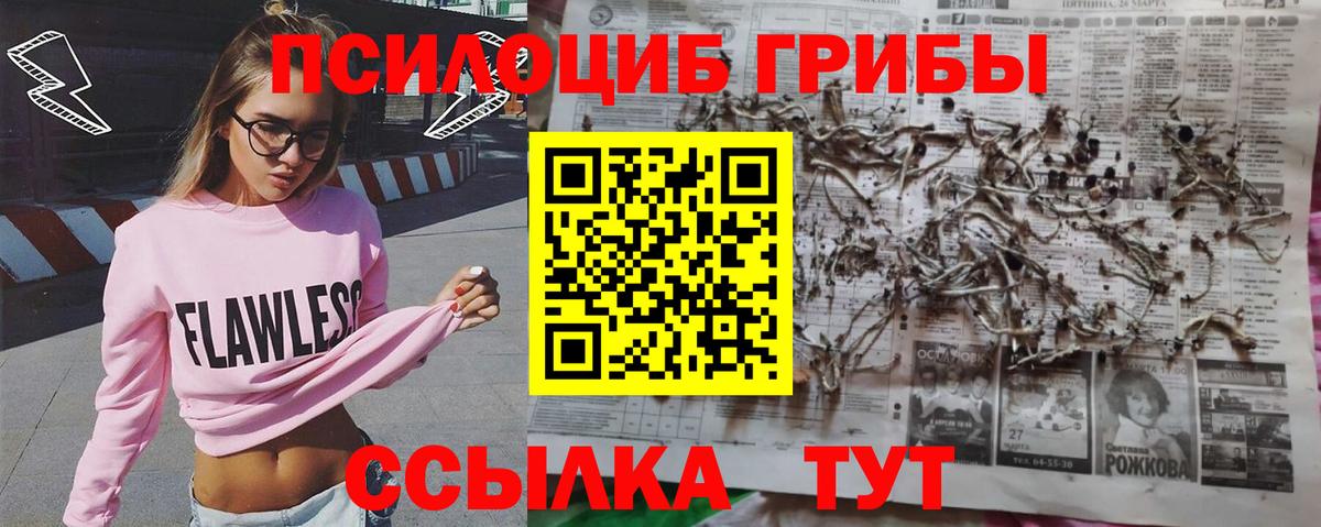 Галлюциногенные грибы Cubensis Соликамск